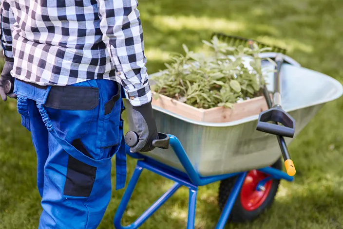 Grünanlagenpflege Gebäudeservice